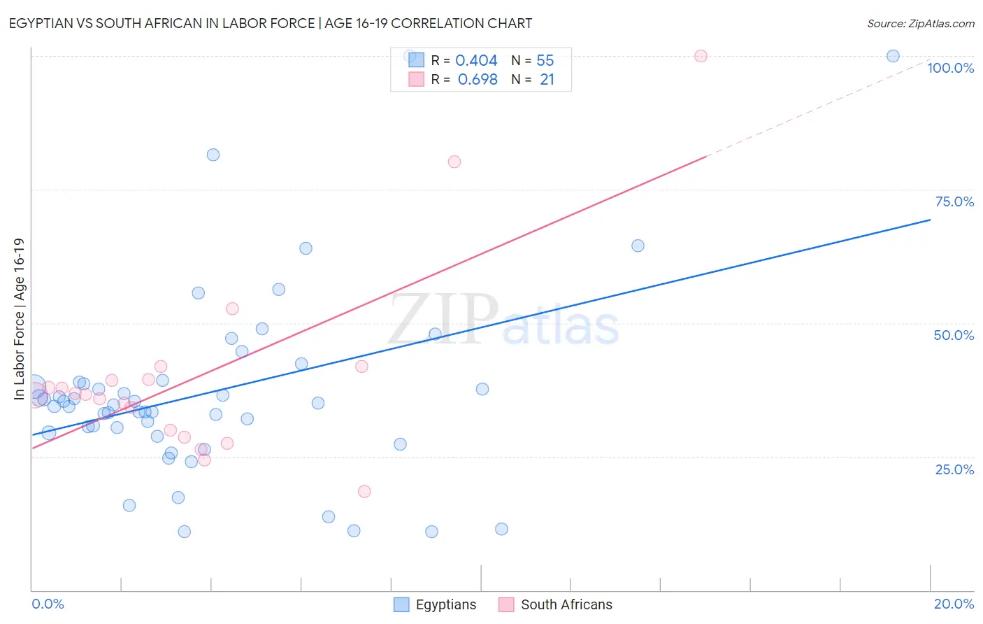 Egyptian vs South African In Labor Force | Age 16-19