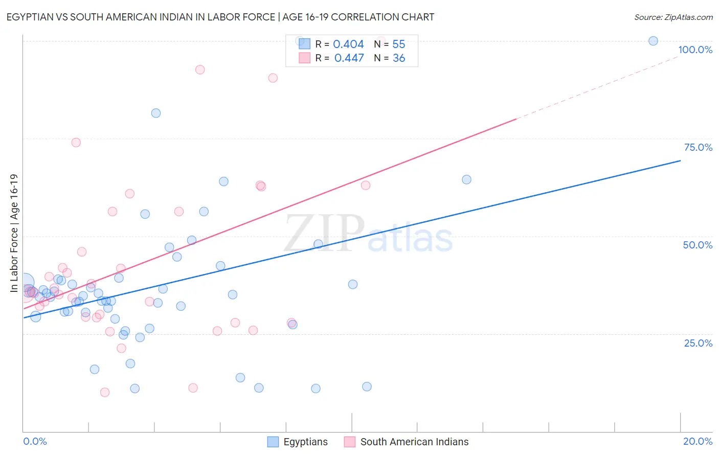 Egyptian vs South American Indian In Labor Force | Age 16-19