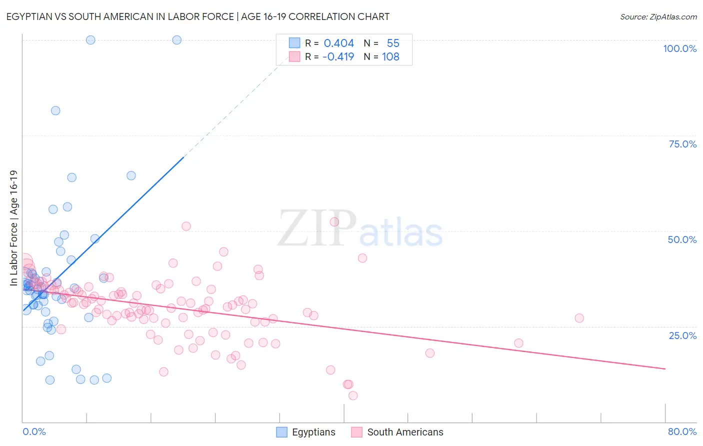 Egyptian vs South American In Labor Force | Age 16-19