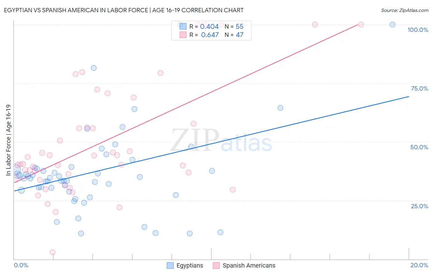 Egyptian vs Spanish American In Labor Force | Age 16-19