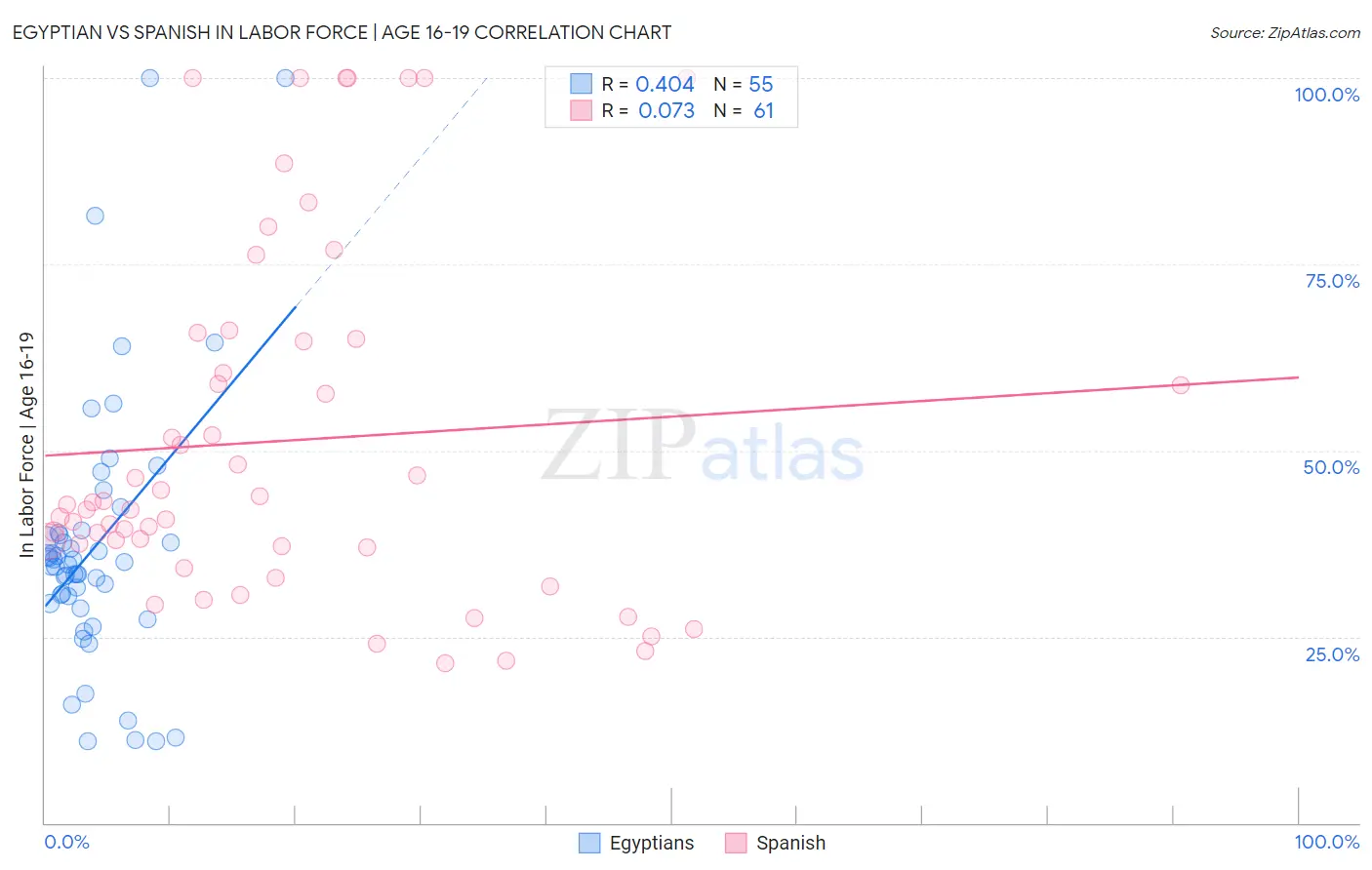 Egyptian vs Spanish In Labor Force | Age 16-19