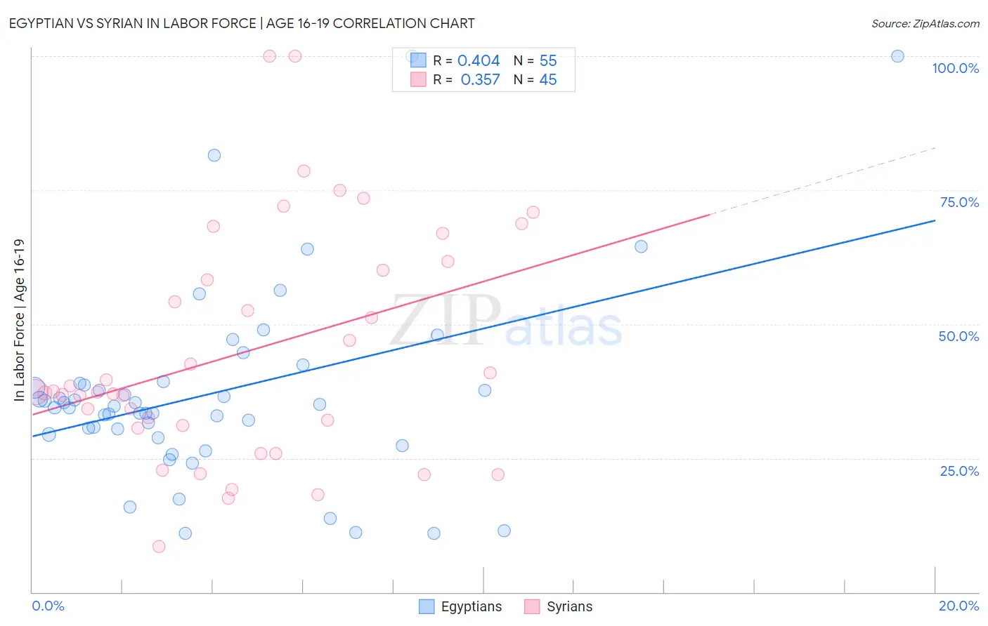 Egyptian vs Syrian In Labor Force | Age 16-19