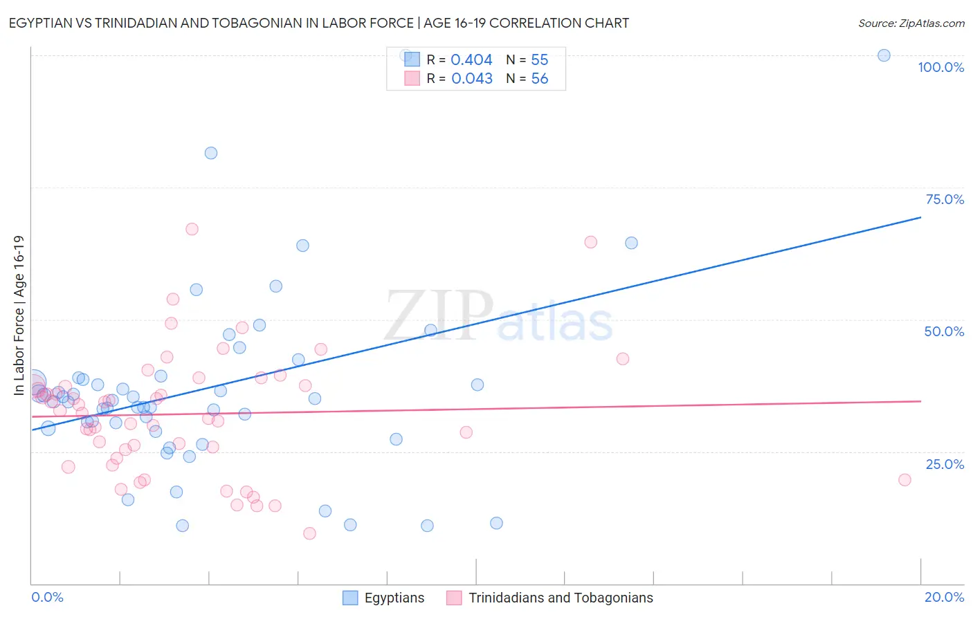 Egyptian vs Trinidadian and Tobagonian In Labor Force | Age 16-19