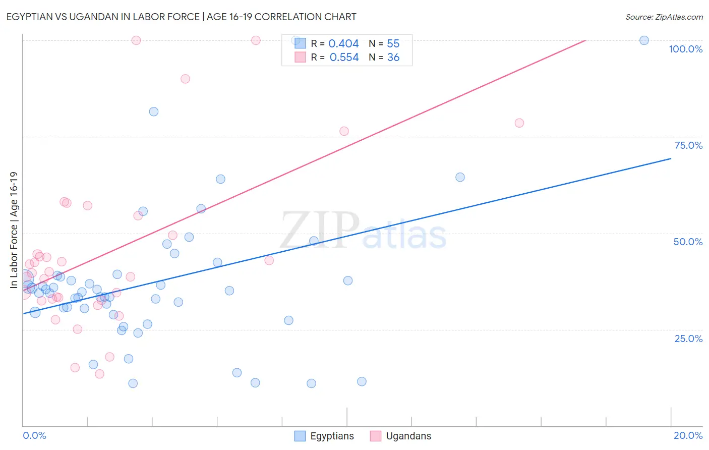 Egyptian vs Ugandan In Labor Force | Age 16-19