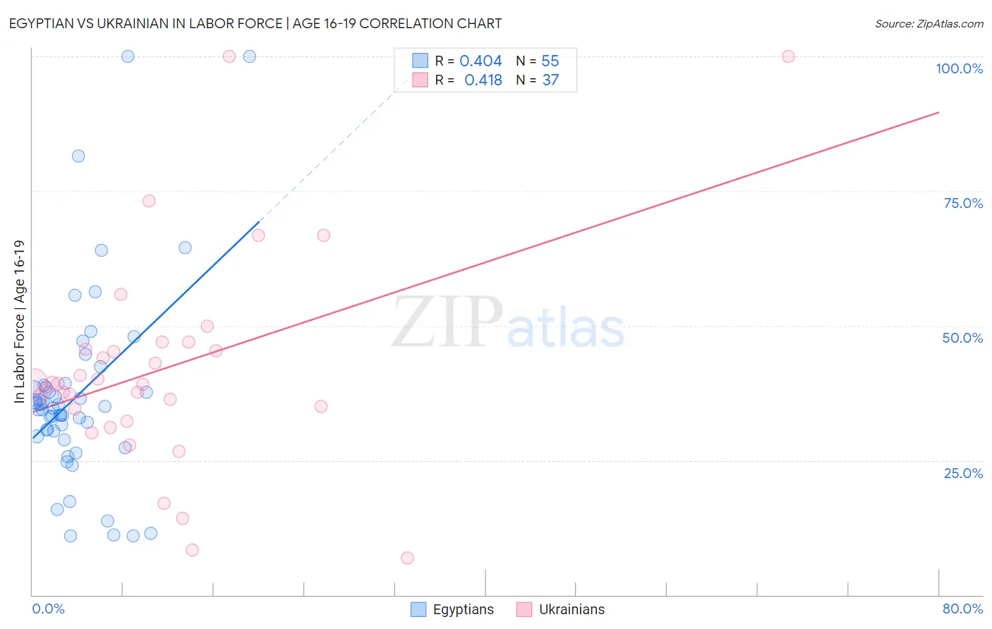 Egyptian vs Ukrainian In Labor Force | Age 16-19