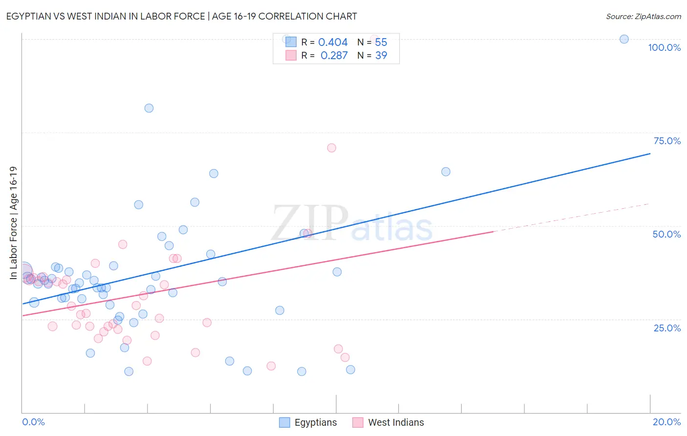 Egyptian vs West Indian In Labor Force | Age 16-19