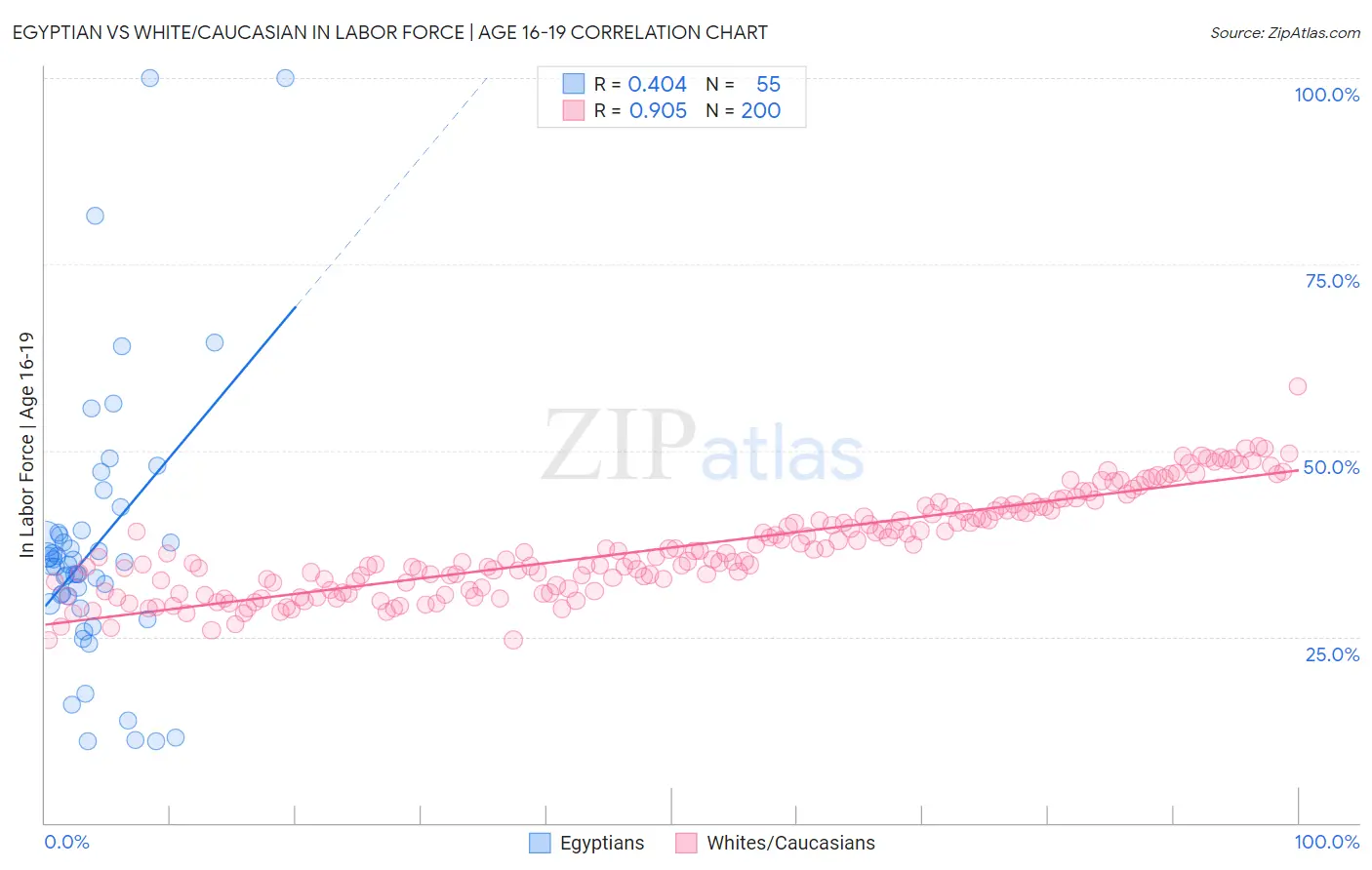 Egyptian vs White/Caucasian In Labor Force | Age 16-19