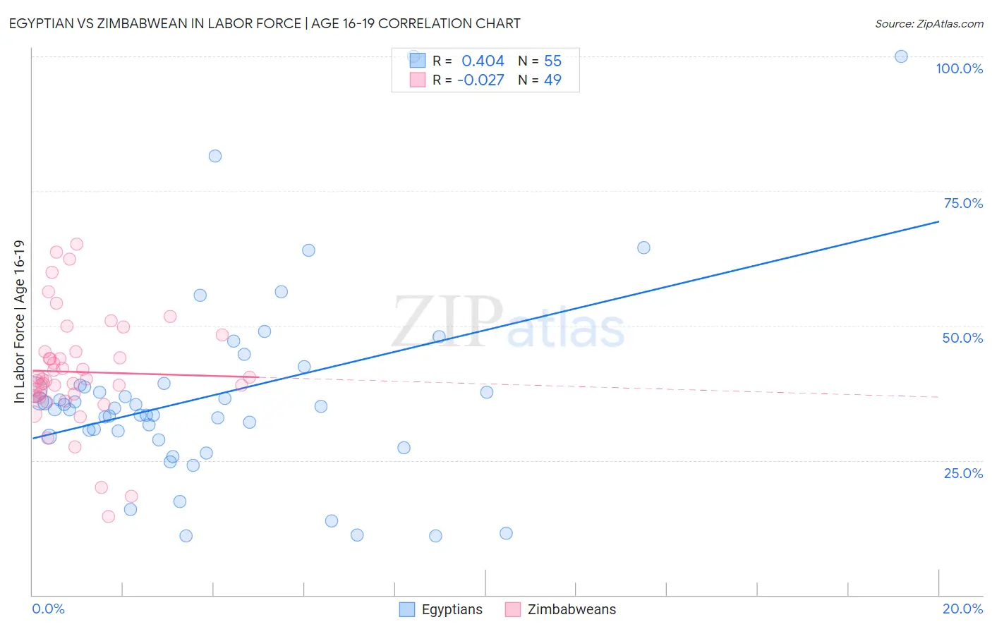 Egyptian vs Zimbabwean In Labor Force | Age 16-19