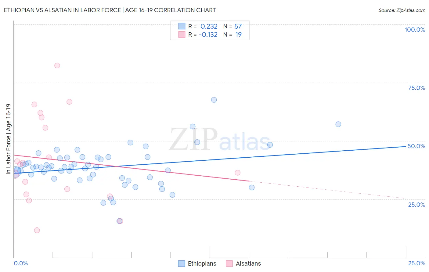 Ethiopian vs Alsatian In Labor Force | Age 16-19