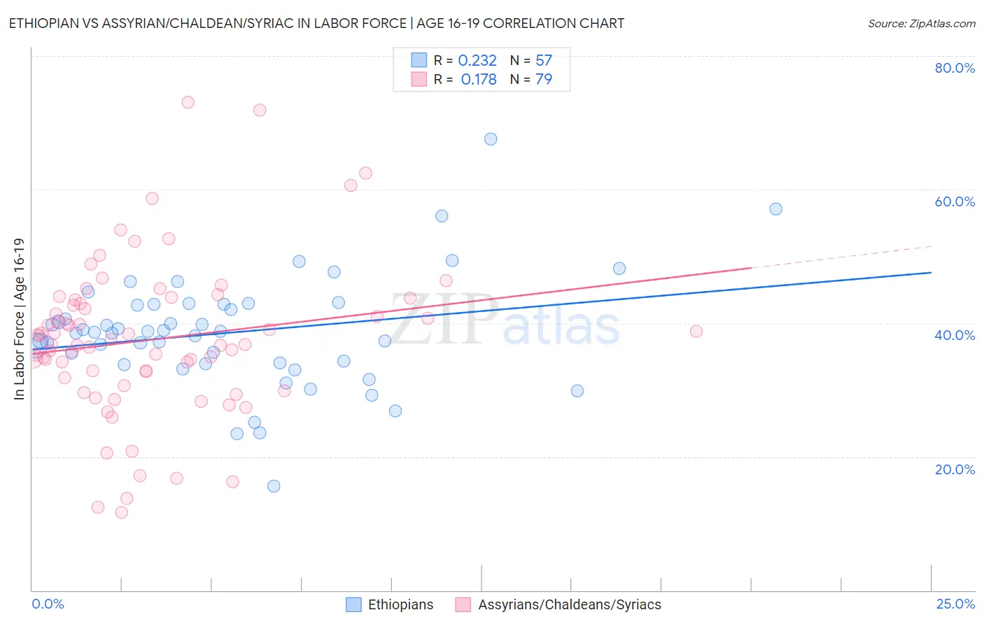 Ethiopian vs Assyrian/Chaldean/Syriac In Labor Force | Age 16-19