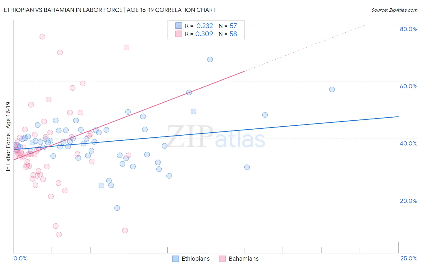 Ethiopian vs Bahamian In Labor Force | Age 16-19