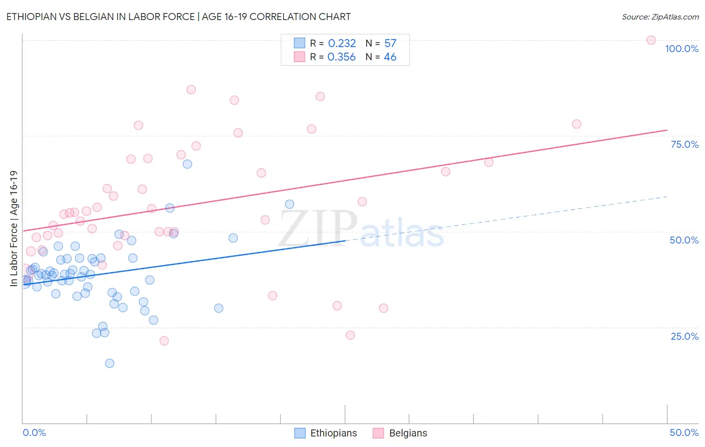 Ethiopian vs Belgian In Labor Force | Age 16-19