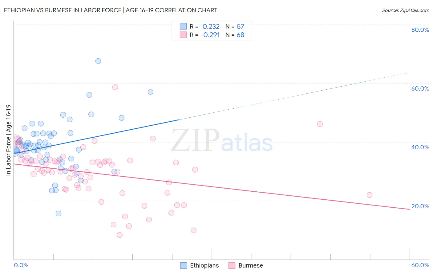 Ethiopian vs Burmese In Labor Force | Age 16-19