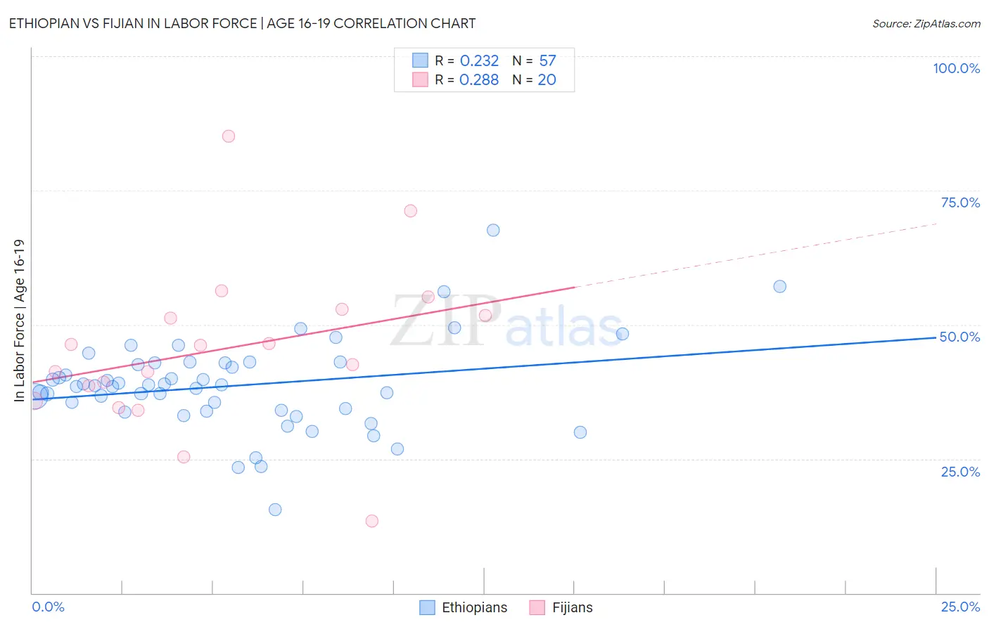 Ethiopian vs Fijian In Labor Force | Age 16-19