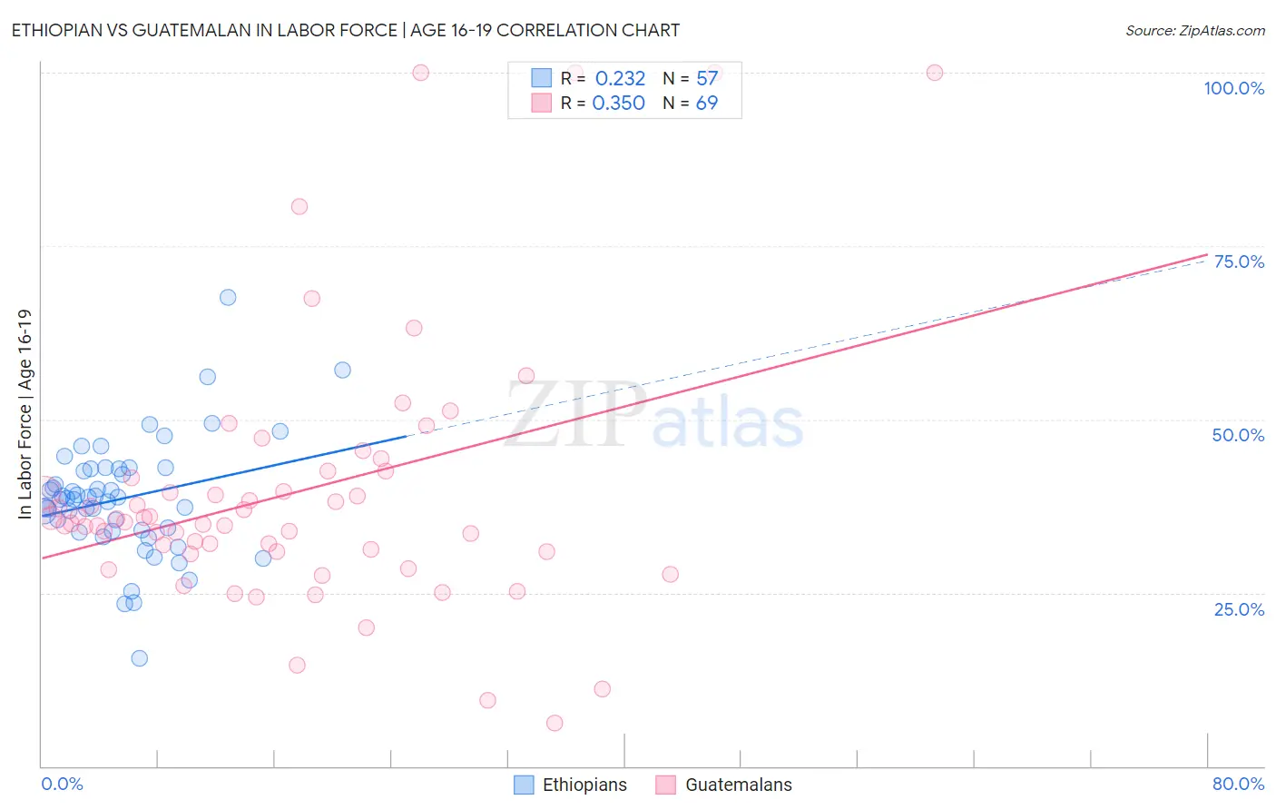 Ethiopian vs Guatemalan In Labor Force | Age 16-19