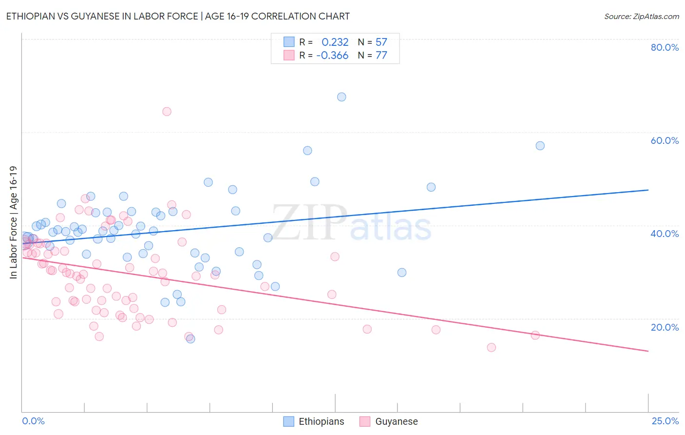 Ethiopian vs Guyanese In Labor Force | Age 16-19