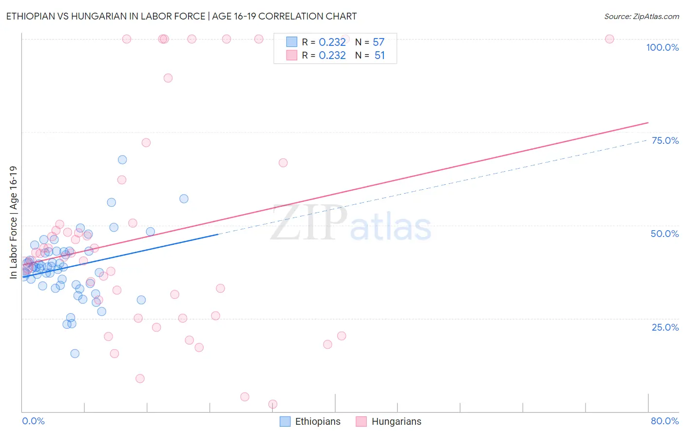 Ethiopian vs Hungarian In Labor Force | Age 16-19