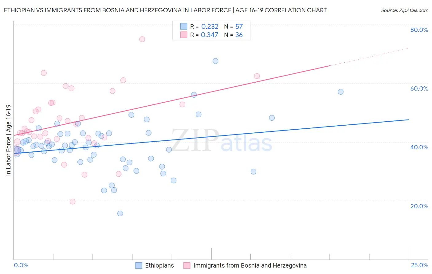 Ethiopian vs Immigrants from Bosnia and Herzegovina In Labor Force | Age 16-19