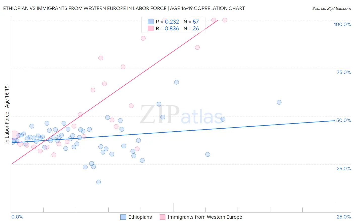 Ethiopian vs Immigrants from Western Europe In Labor Force | Age 16-19