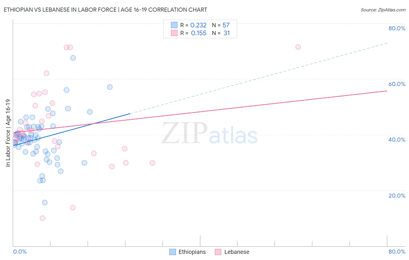 Ethiopian vs Lebanese In Labor Force | Age 16-19