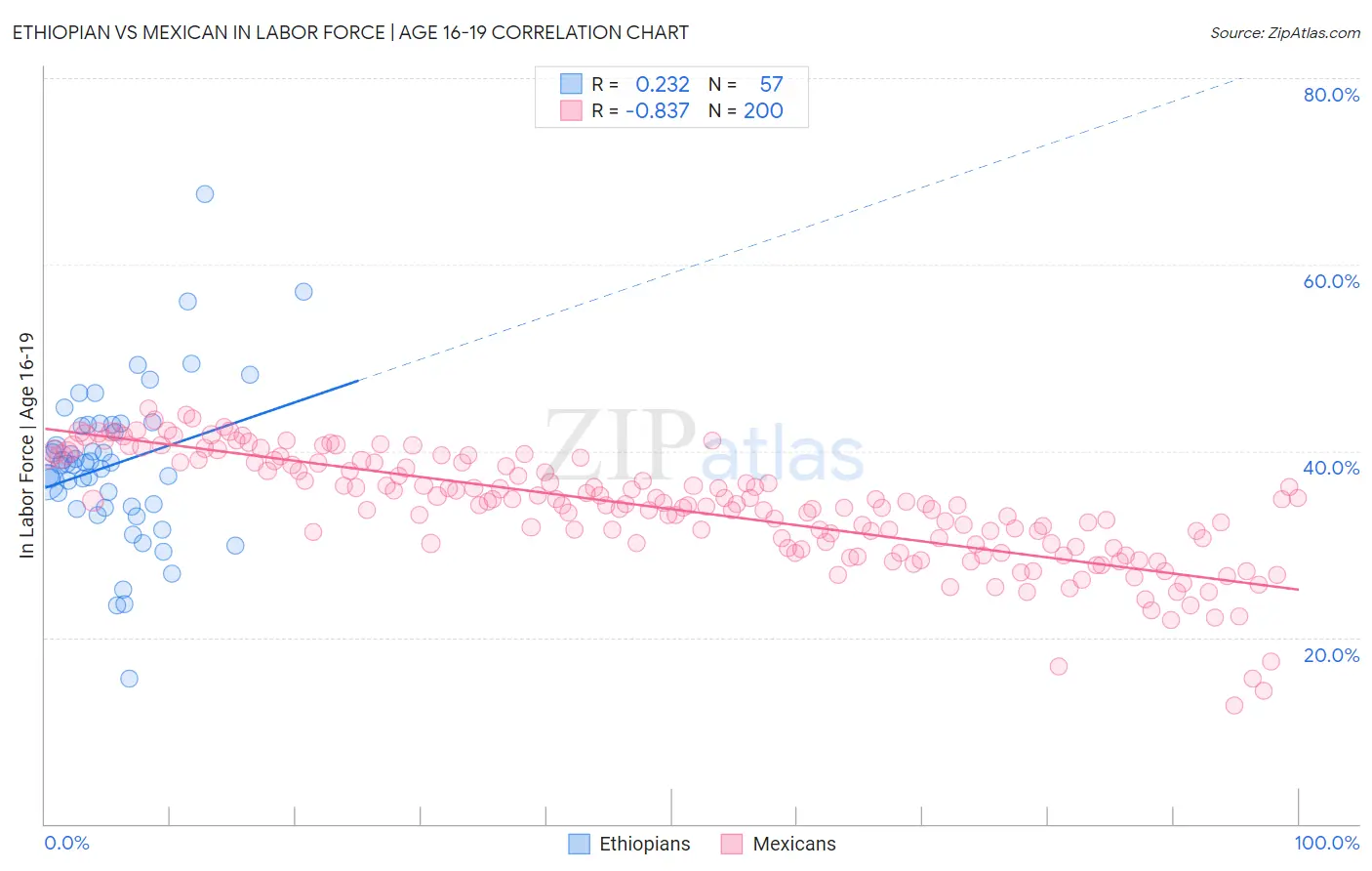 Ethiopian vs Mexican In Labor Force | Age 16-19