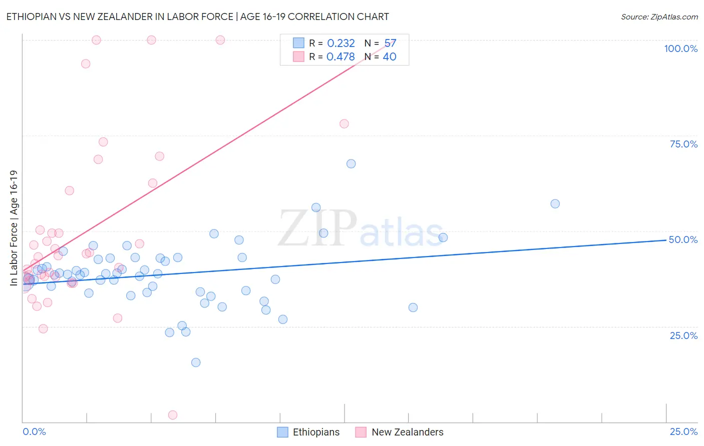 Ethiopian vs New Zealander In Labor Force | Age 16-19