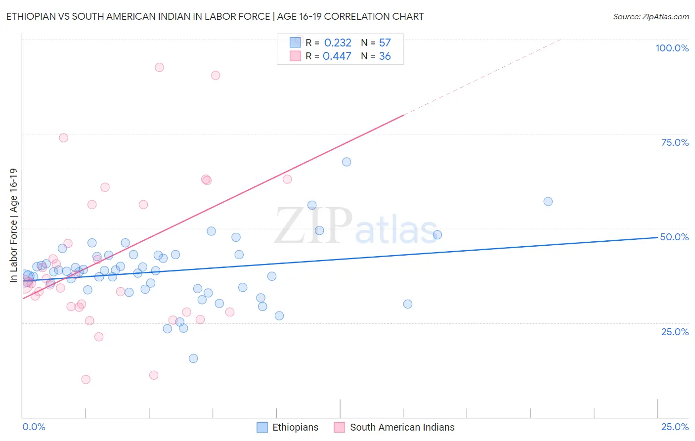Ethiopian vs South American Indian In Labor Force | Age 16-19