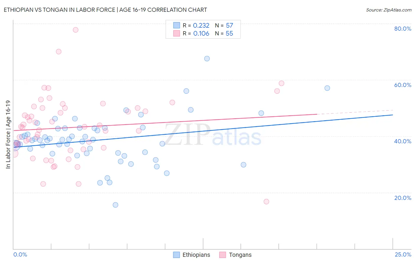 Ethiopian vs Tongan In Labor Force | Age 16-19