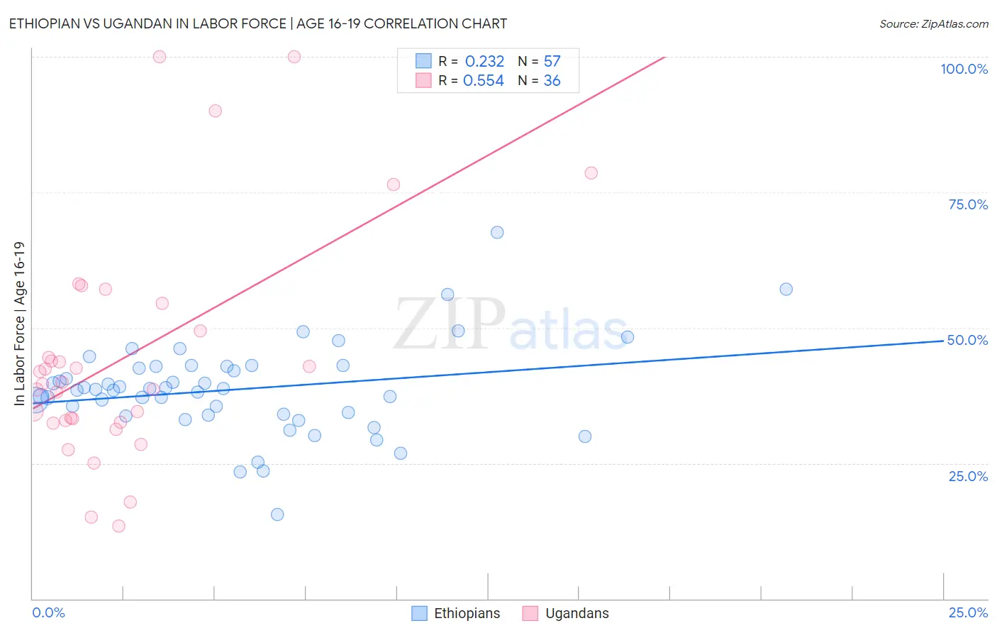 Ethiopian vs Ugandan In Labor Force | Age 16-19