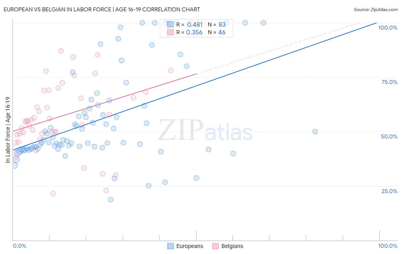 European vs Belgian In Labor Force | Age 16-19