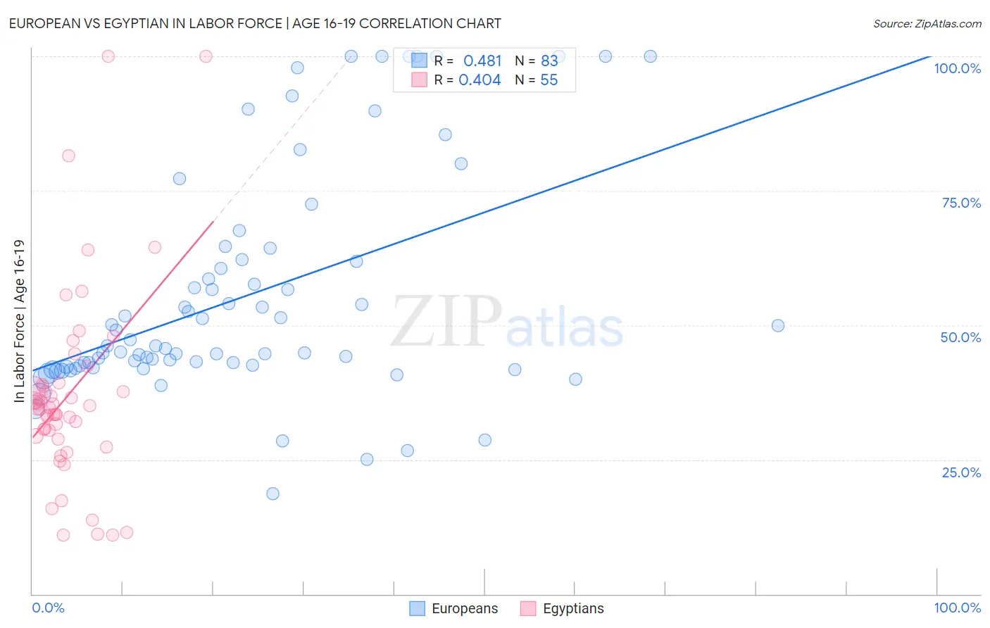 European vs Egyptian In Labor Force | Age 16-19