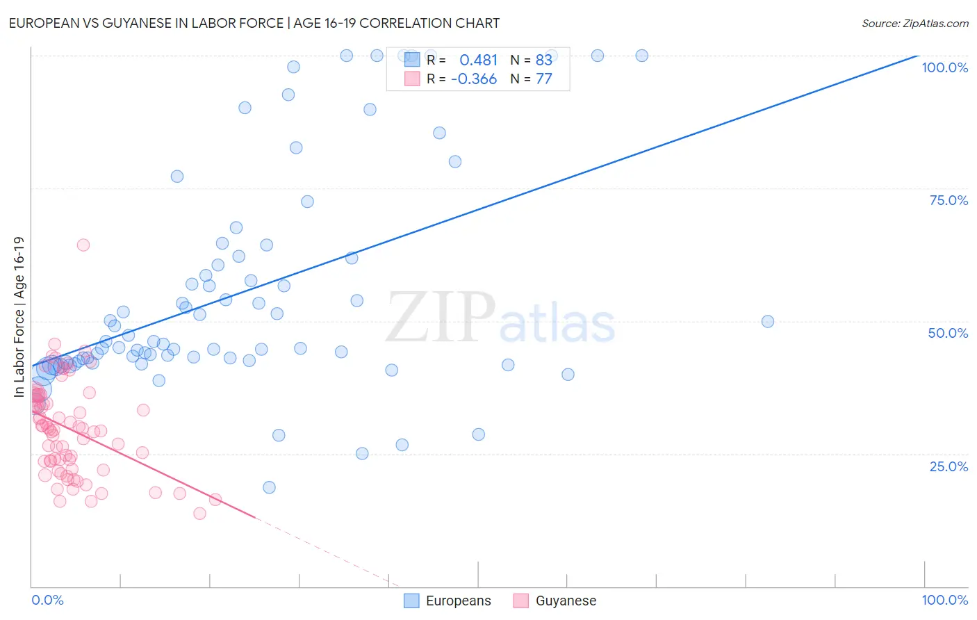 European vs Guyanese In Labor Force | Age 16-19