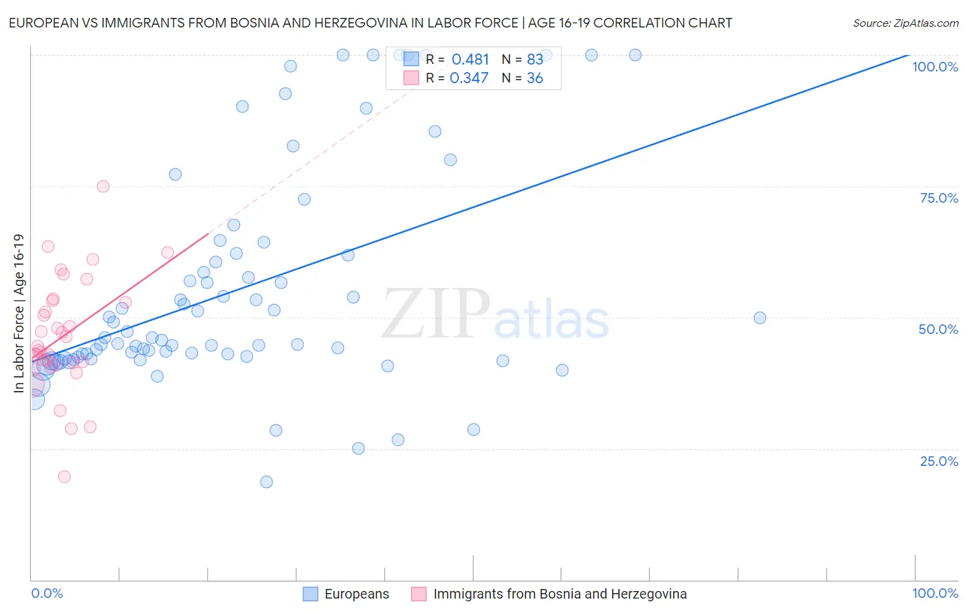 European vs Immigrants from Bosnia and Herzegovina In Labor Force | Age 16-19