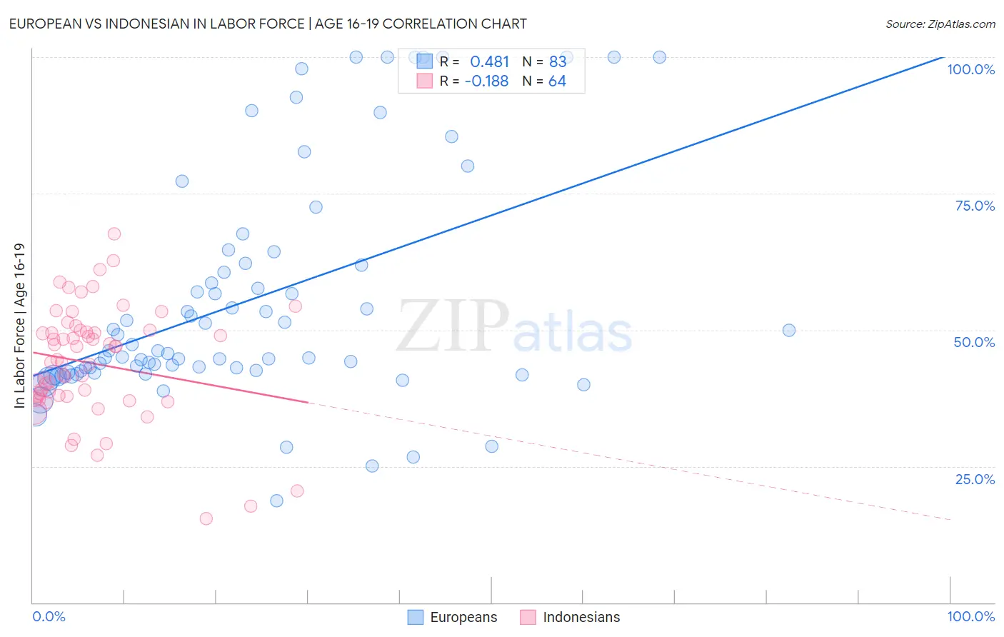 European vs Indonesian In Labor Force | Age 16-19