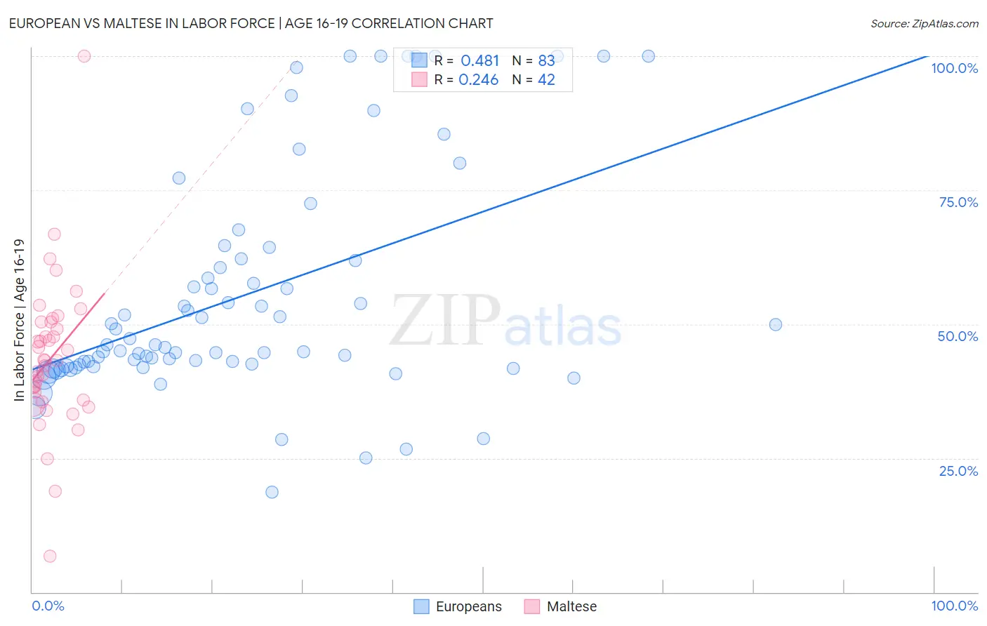 European vs Maltese In Labor Force | Age 16-19