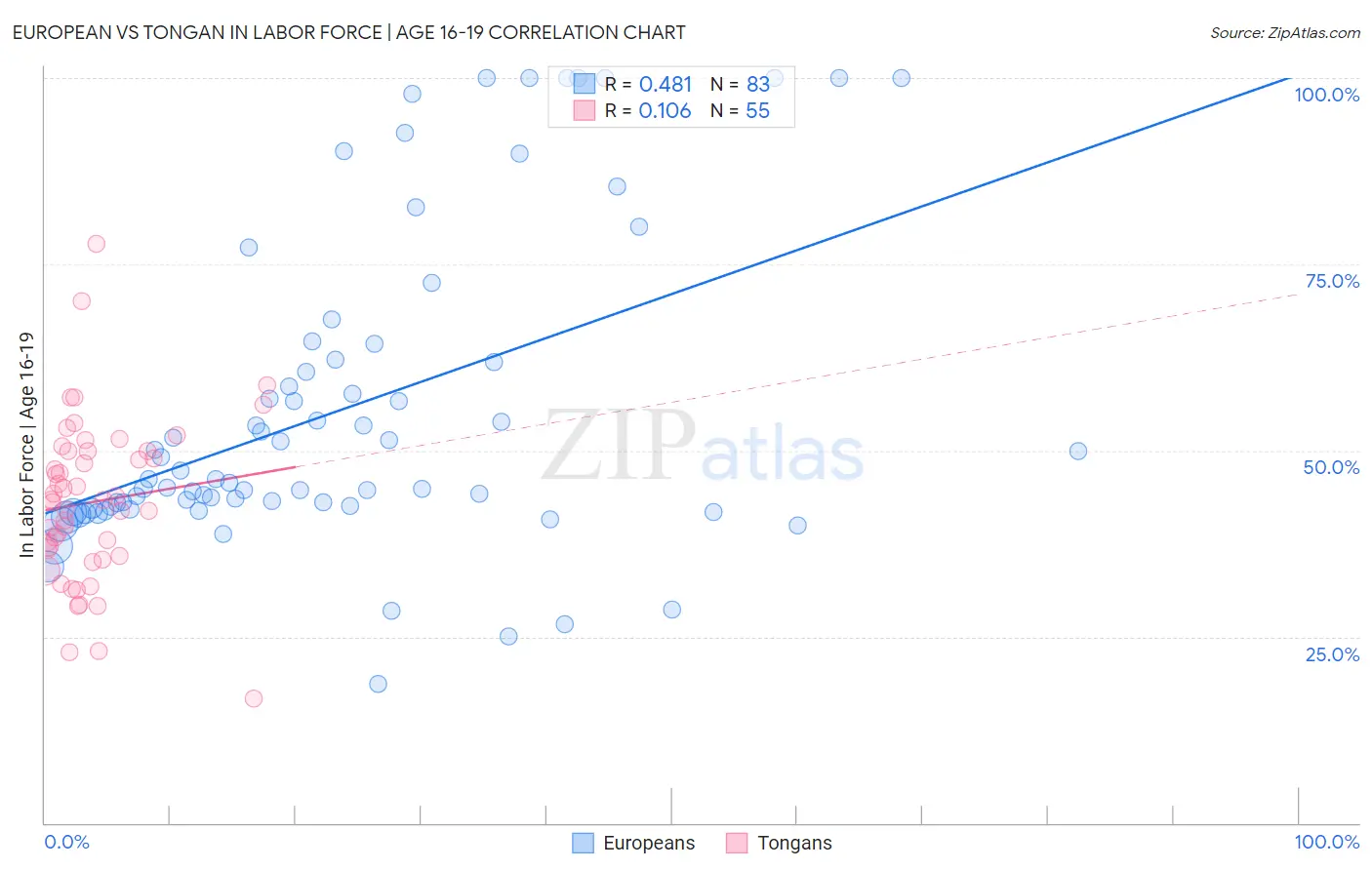 European vs Tongan In Labor Force | Age 16-19