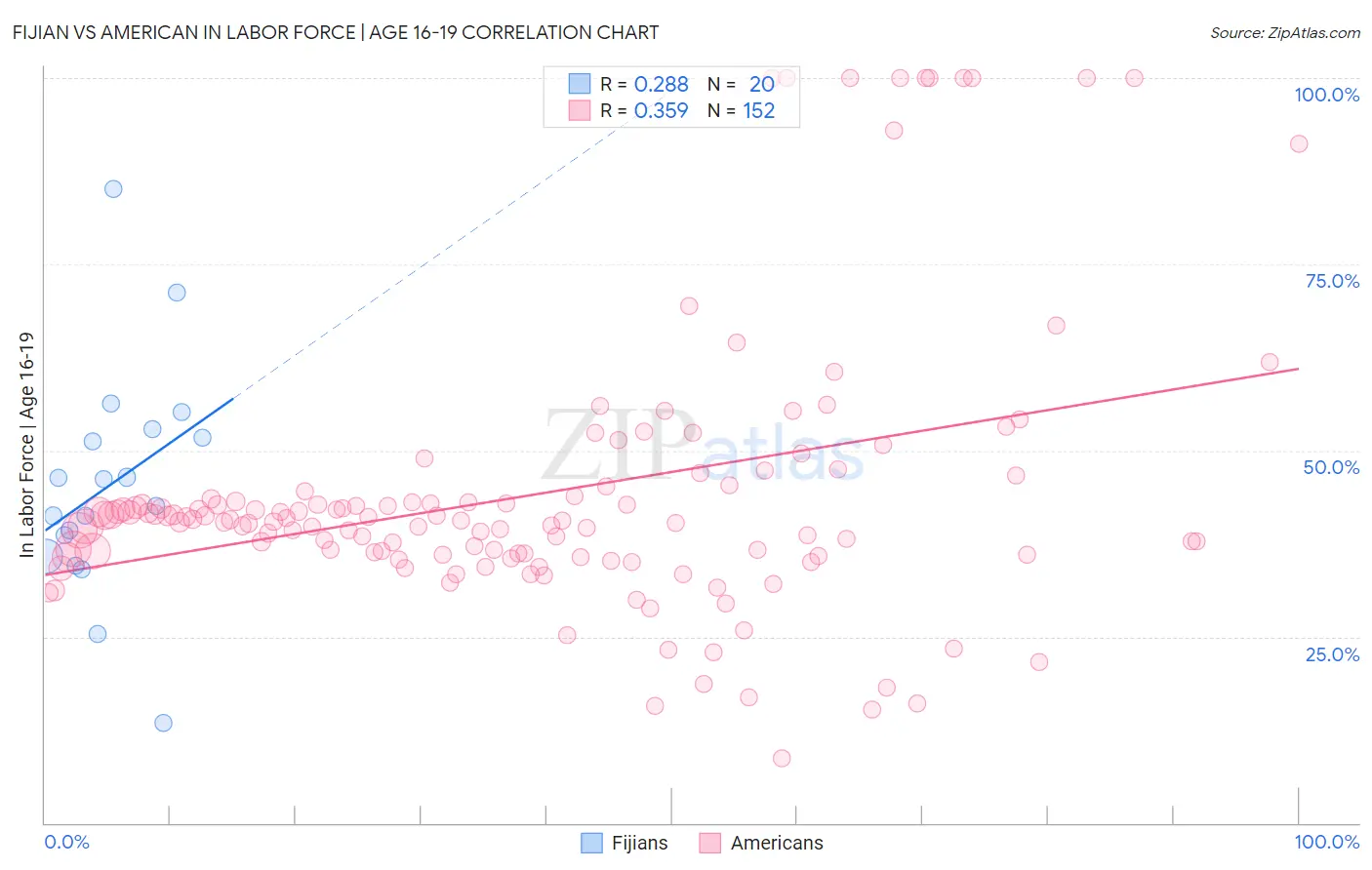 Fijian vs American In Labor Force | Age 16-19