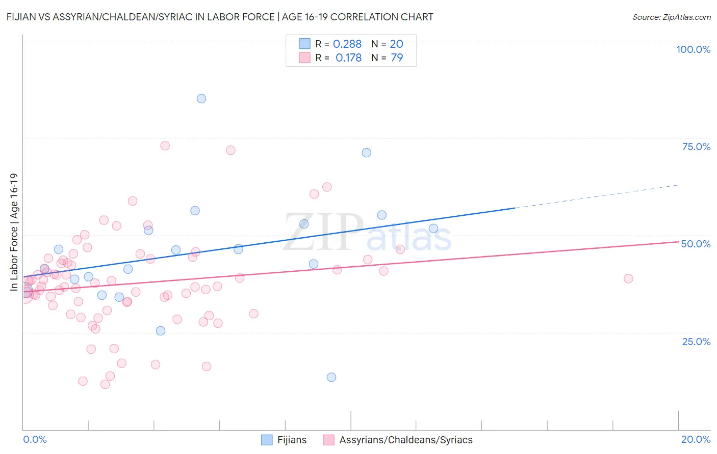 Fijian vs Assyrian/Chaldean/Syriac In Labor Force | Age 16-19