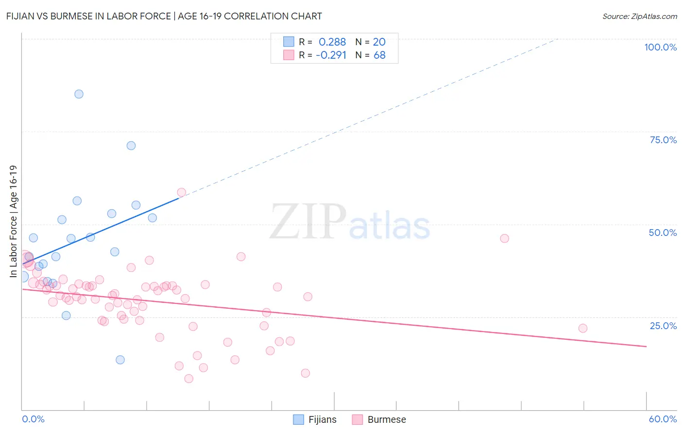 Fijian vs Burmese In Labor Force | Age 16-19