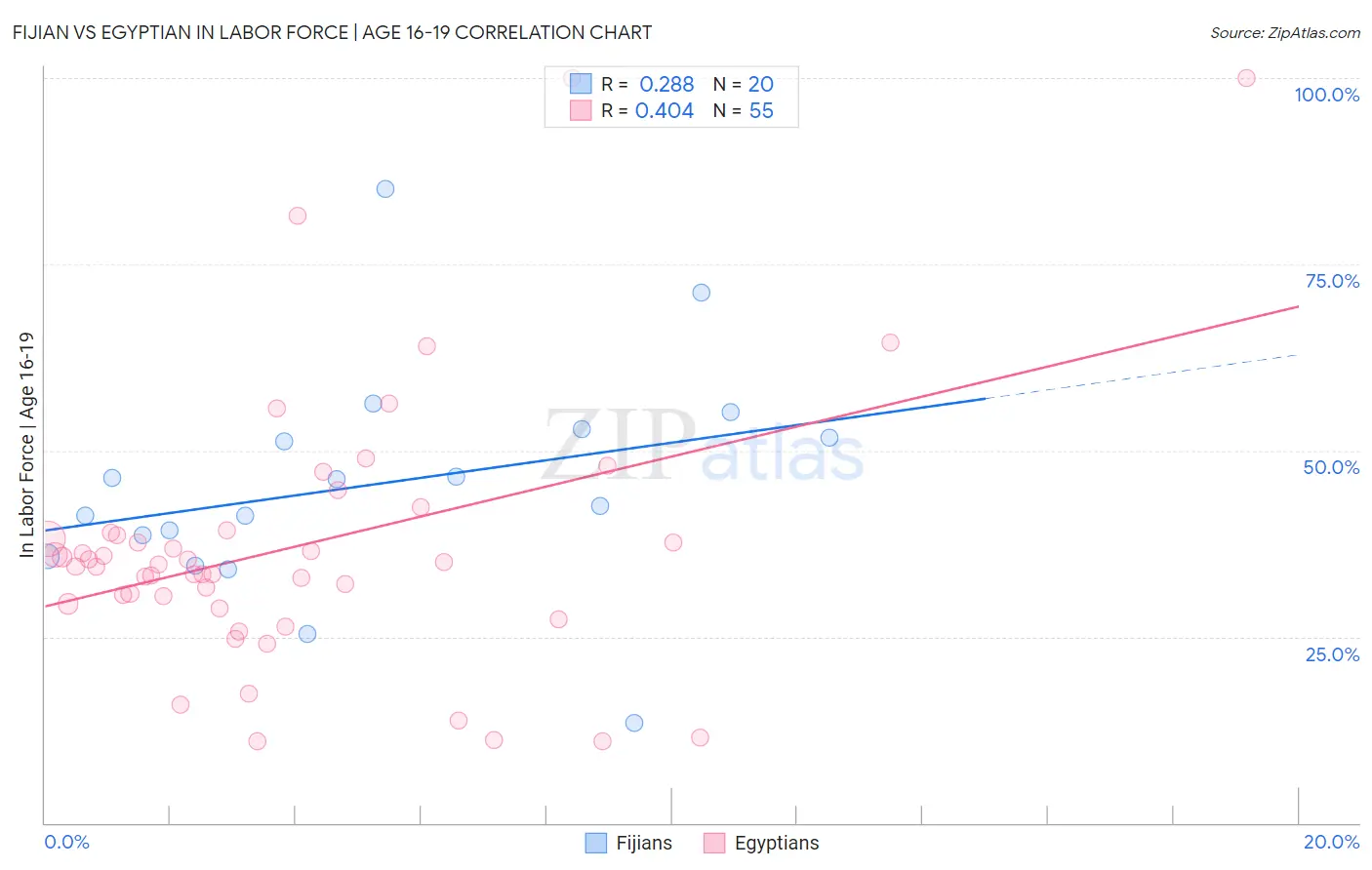 Fijian vs Egyptian In Labor Force | Age 16-19