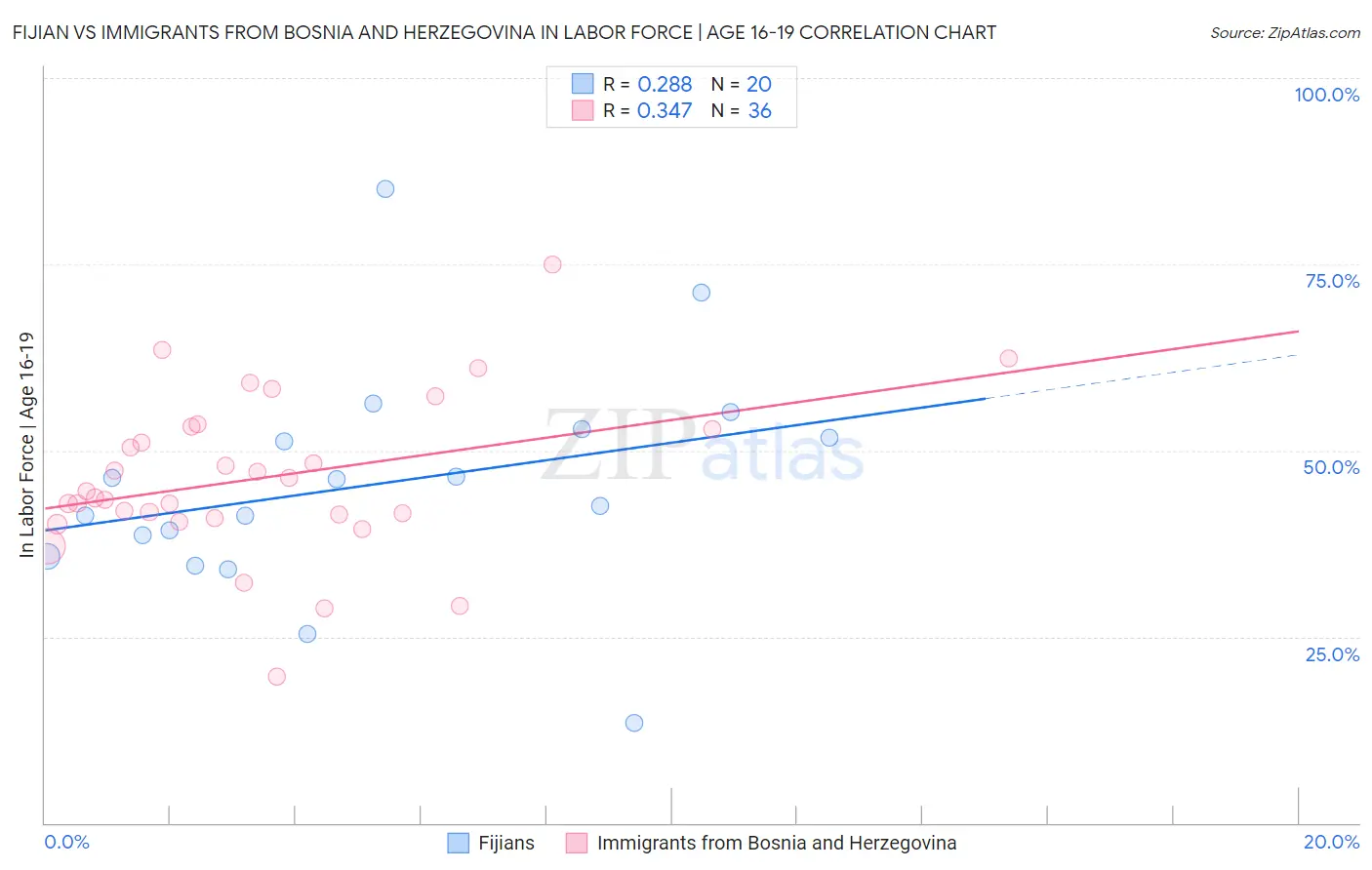 Fijian vs Immigrants from Bosnia and Herzegovina In Labor Force | Age 16-19