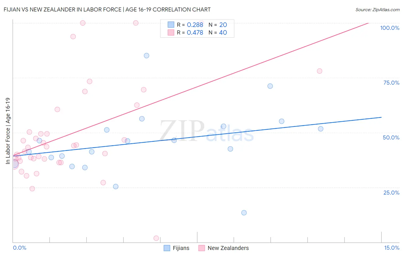 Fijian vs New Zealander In Labor Force | Age 16-19