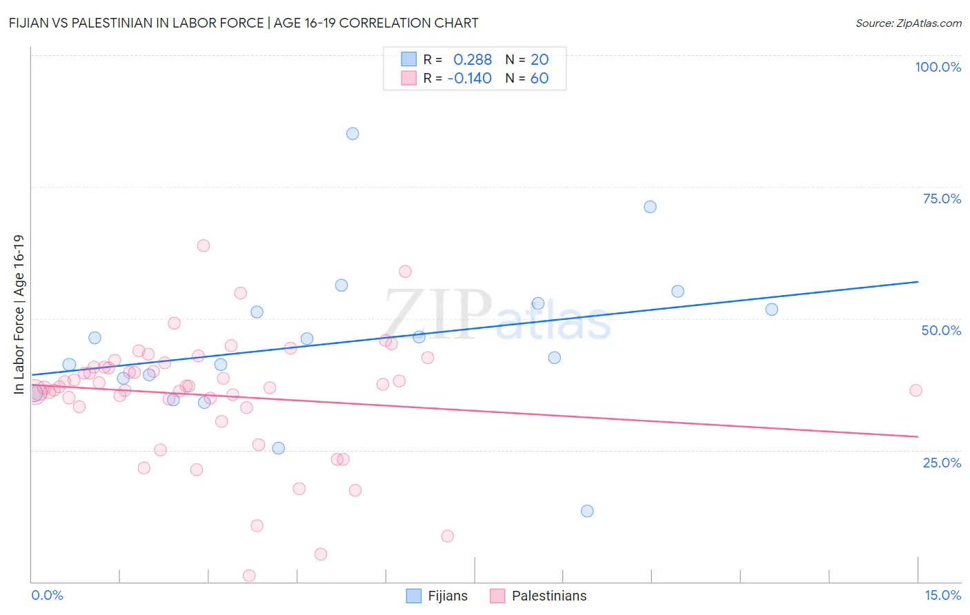 Fijian vs Palestinian In Labor Force | Age 16-19