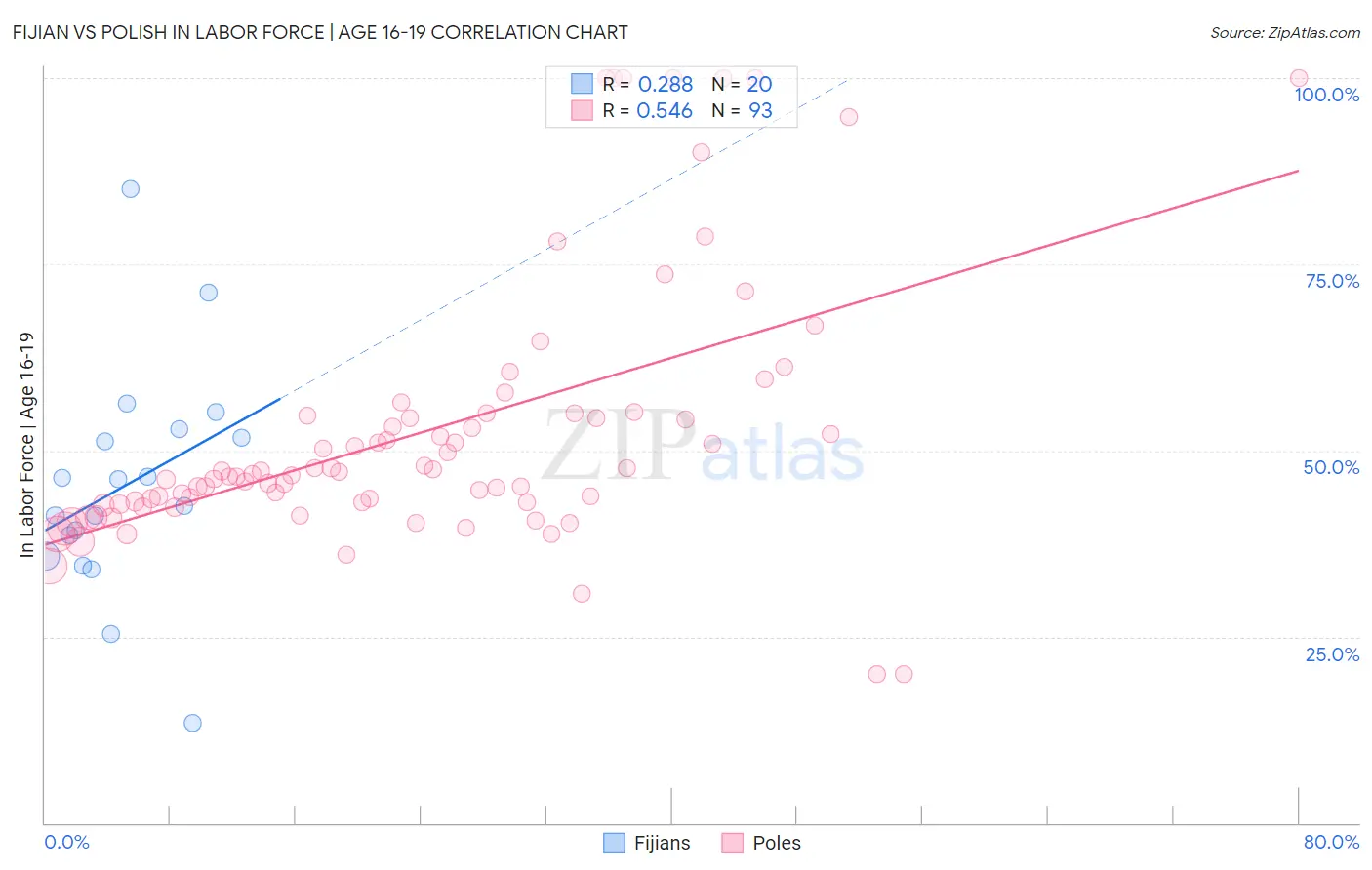 Fijian vs Polish In Labor Force | Age 16-19