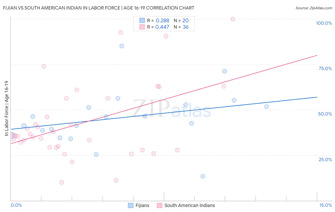 Fijian vs South American Indian In Labor Force | Age 16-19