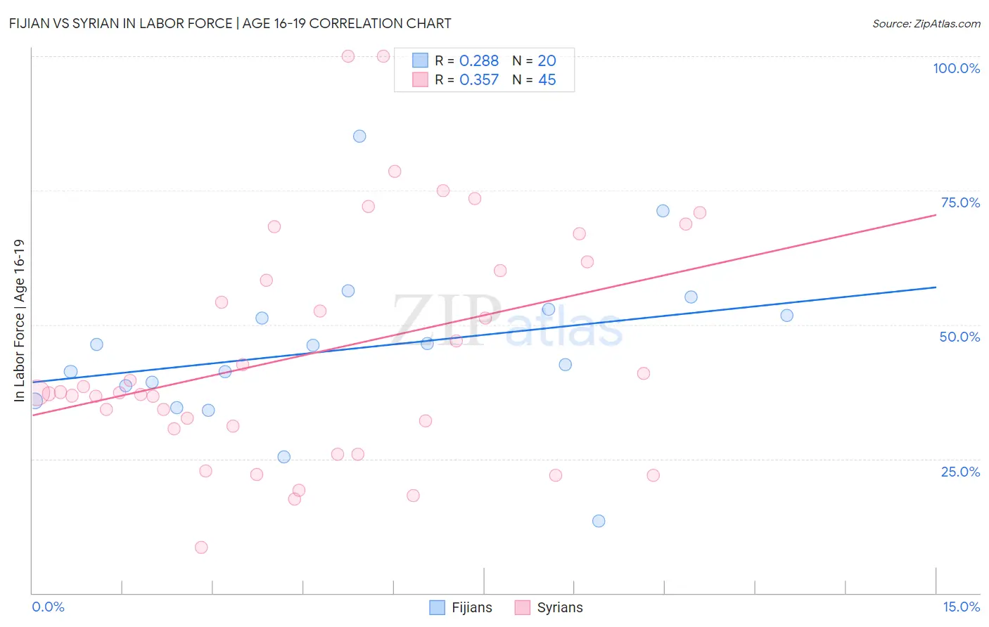 Fijian vs Syrian In Labor Force | Age 16-19