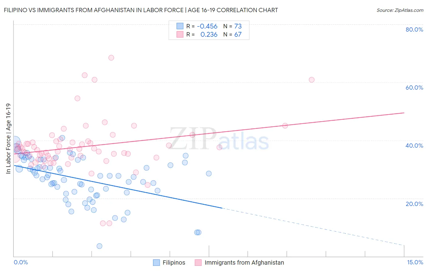 Filipino vs Immigrants from Afghanistan In Labor Force | Age 16-19