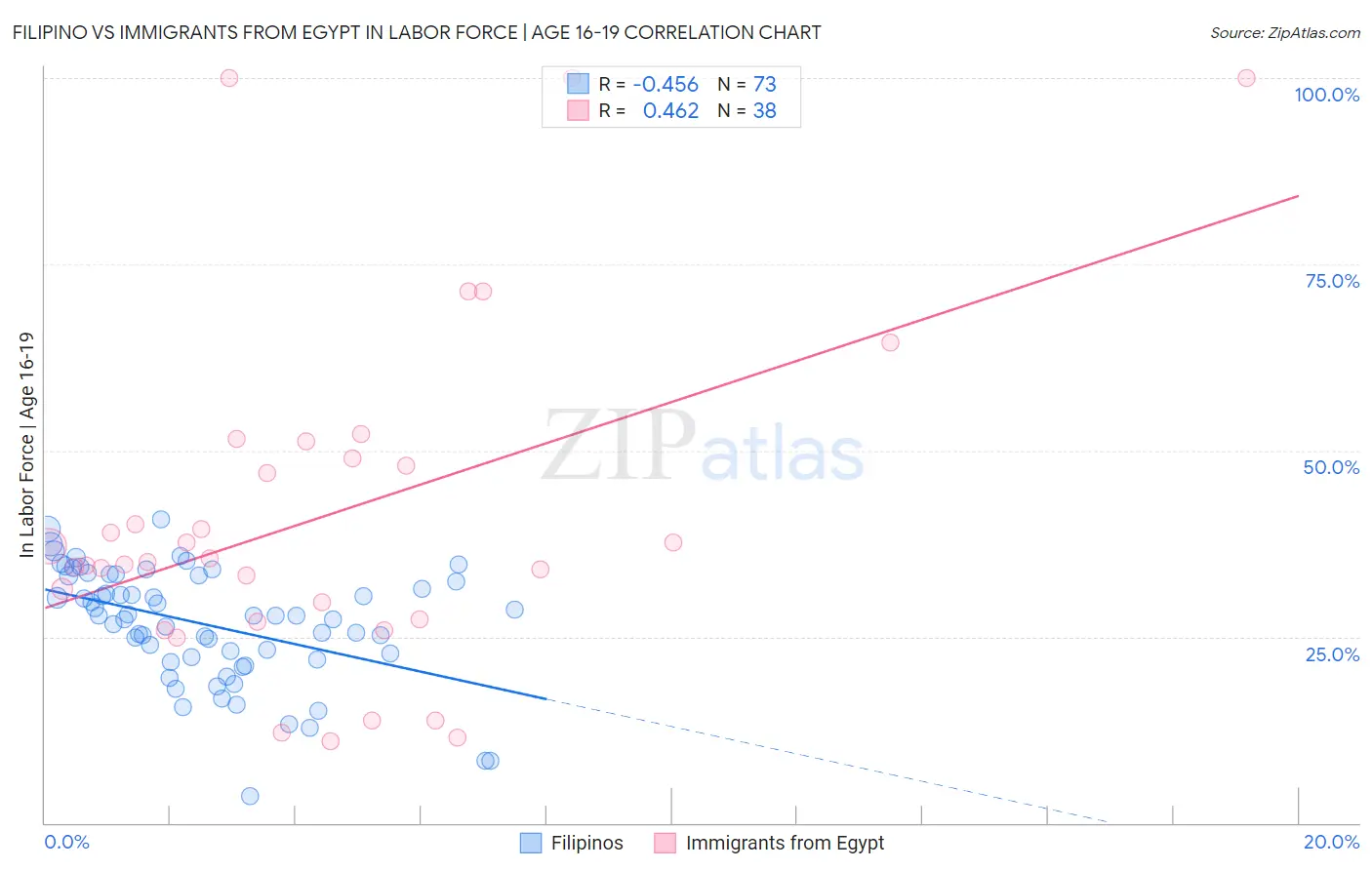 Filipino vs Immigrants from Egypt In Labor Force | Age 16-19