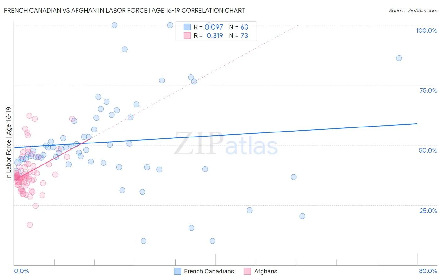French Canadian vs Afghan In Labor Force | Age 16-19