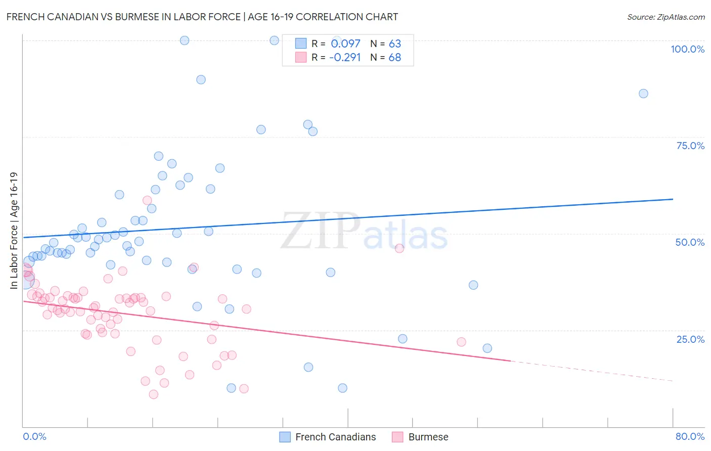 French Canadian vs Burmese In Labor Force | Age 16-19